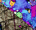 Diorite Gneiss
