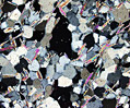 Kyanite Quartzite