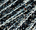 Urea