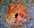 Bauxite Ore