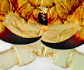 Centipede Poison Claws