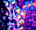 Biotin (Vitamin H)