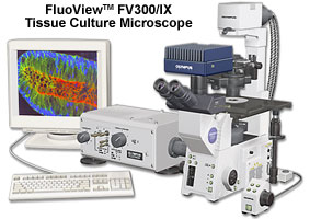 FluoView FV300/IX Tissue Culture Microscope