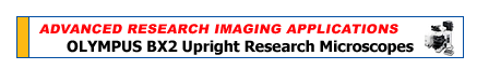 Olympus BX2 Research Microscopes