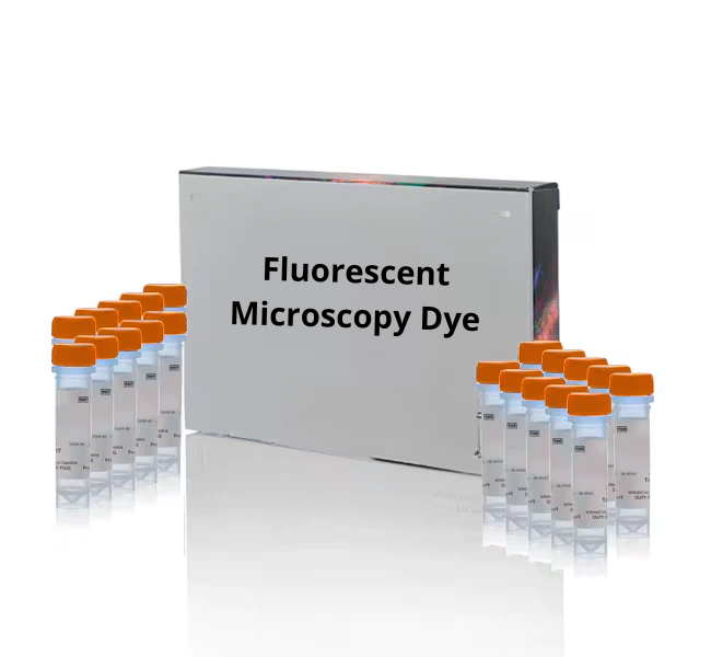 BCECF acid  [2',7'-bis-(2-carboxyethyl)-5-(and-6)-carboxyfluorescein] mixed isomers - 1 mg