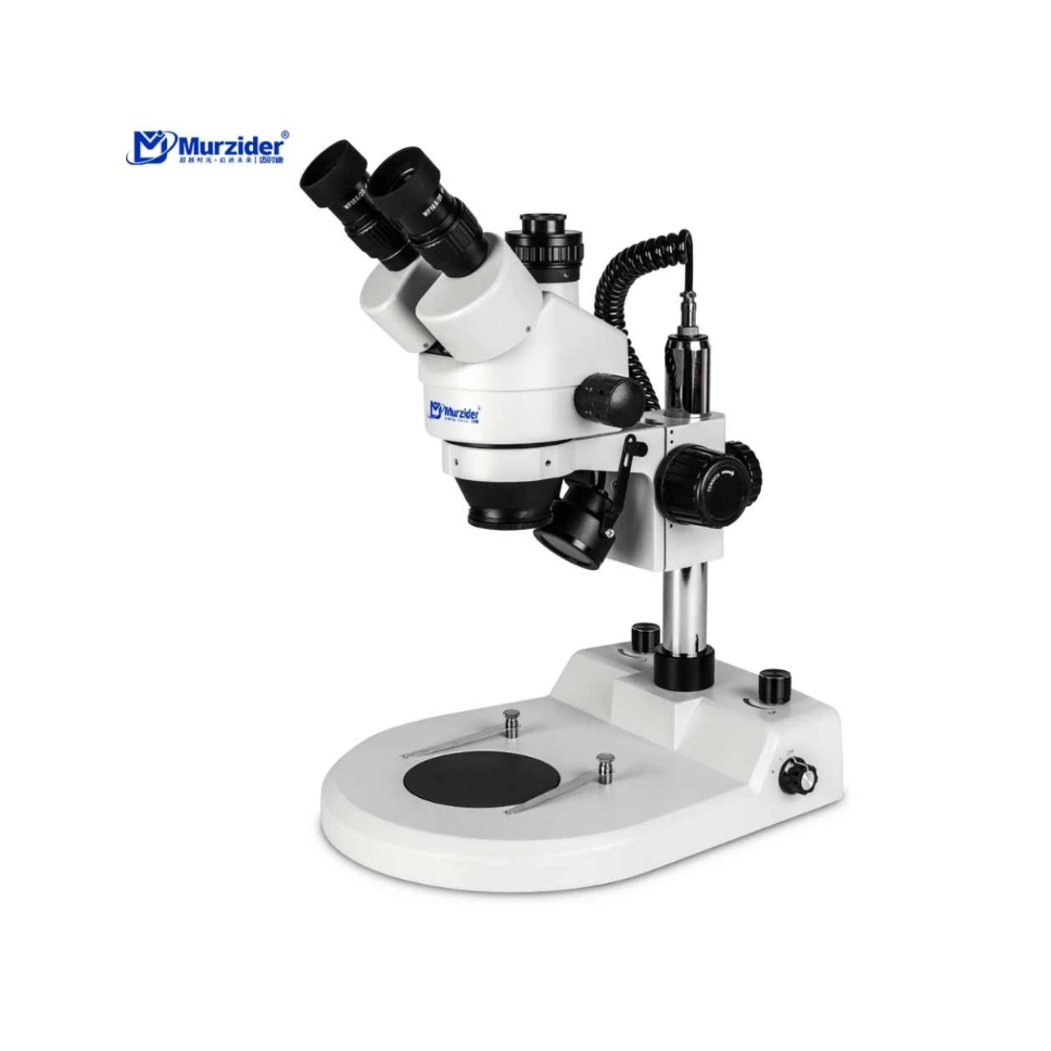 Dual - Color Temperature Stereo Microscope