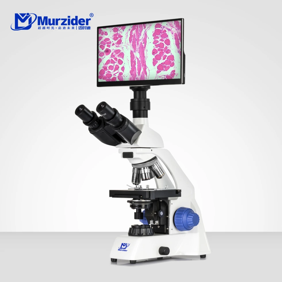 Research Grade Biological microscope +11 6-inch display screen