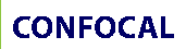 Confocal Microscopy